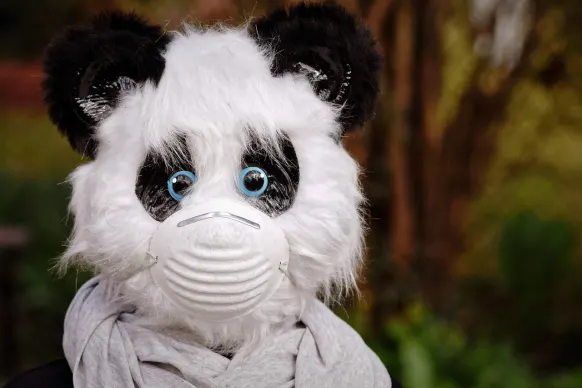 Rollers Casino Soporte